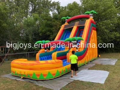 Commercial Kids Water Slide Tropical Palm Tree Cheap Inflatable Water Slide with Pool for Kids and Adult