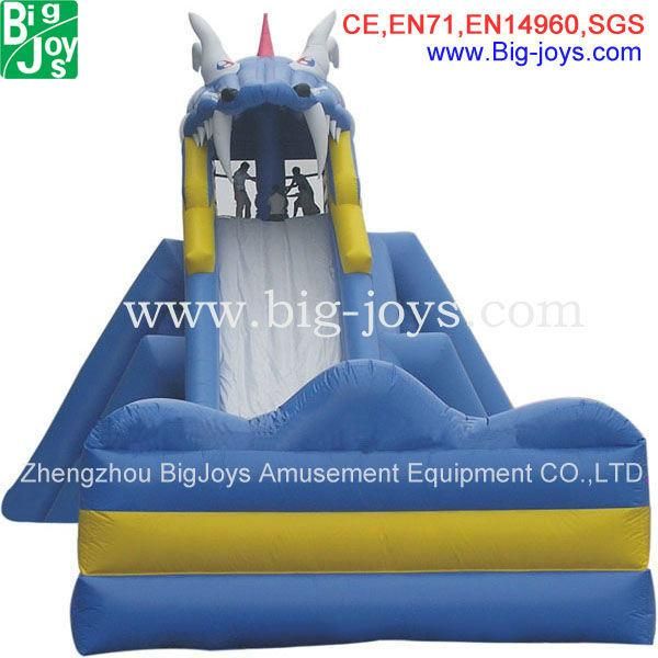 Lol Inflatable Water Slide with Pool for Sale