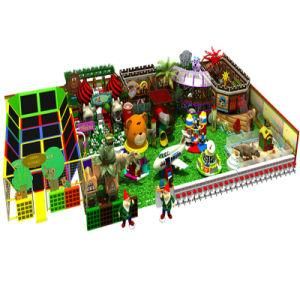 Fascinating and Design Indoor Playground