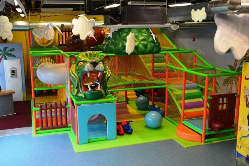 High Quality Indoor Playground for Sale (TY-170325-1)