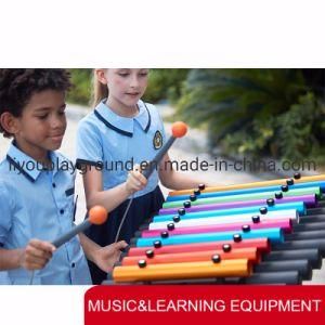 Commercial Playground Equipment Outdoor Music Equipment Equipment for School
