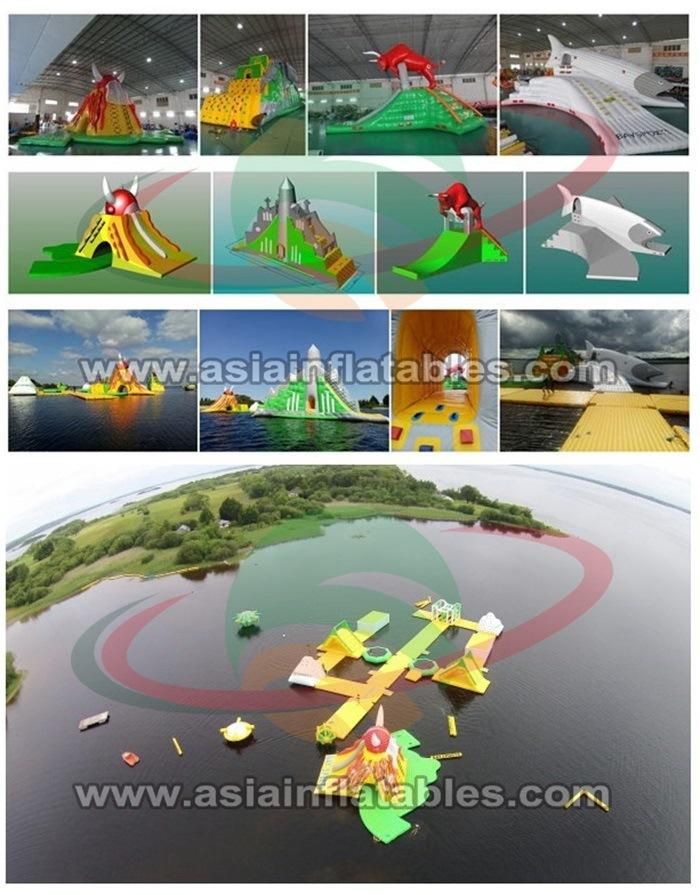 Giant Amusement Park Inflatable Water Park with Water Slide