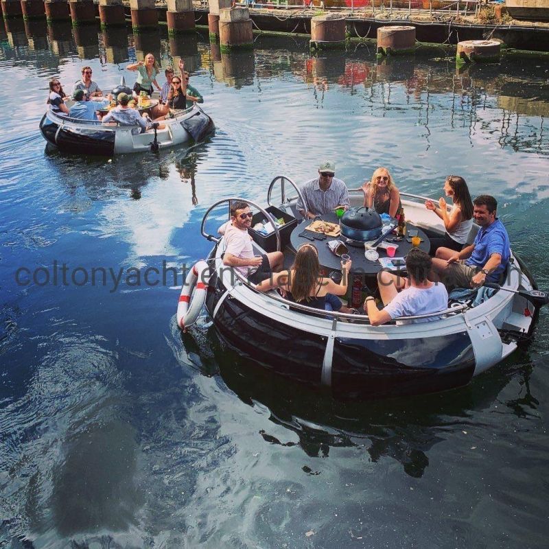Sport Leisure Electric Mini BBQ Donut Leisure Boat for Park
