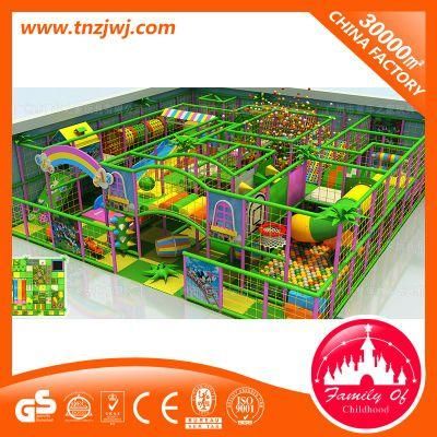 Outdoor and Indoor Play System Play Centre Indoor Play Equipment Indoor Toddler Playground
