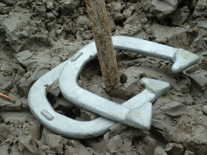 Traditional Backyard Outdoor Activity Horseshoes Game Set