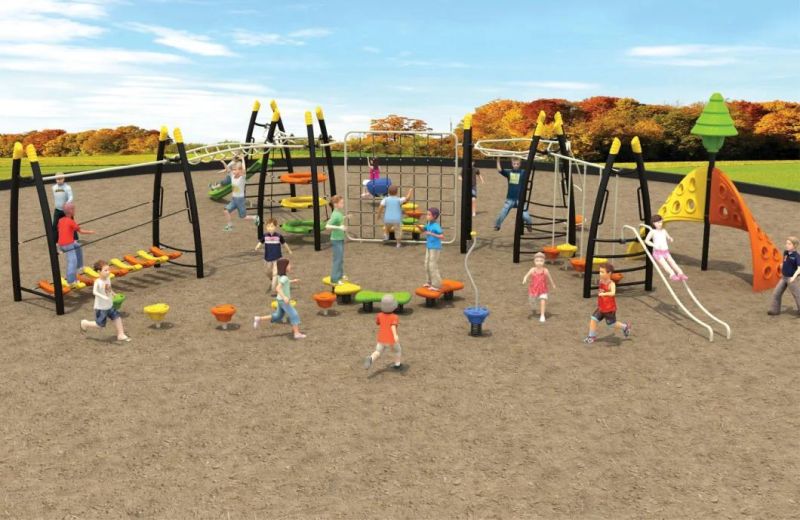 Multifunction Interactive Kids Outdoor Playground (TY-70603)