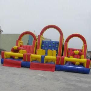 Commercial Inflatable Playground for Amusement Park (CYFC-404)