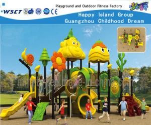 Money Feature Multifunctional Outdoor Playground Equipment Hf-15401