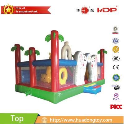 Attractive Appearance Preschool Inflatable Water Slide