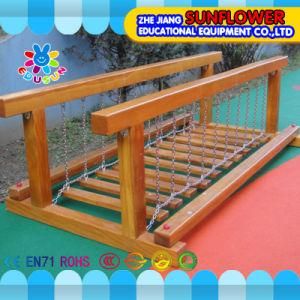 Outdoor Climbing Series for Children Outdoor Solitary Equipment Multifunctional Thrilling Swing Bridge Climbing Frame Children Toys (XYH-0120-2)