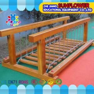 Outdoor Climbing Series for Children Outdoor Solitary Equipment Multifunctional Thrilling Swing Bridge Climbing Frame Children Toys (XYH-0120-2)