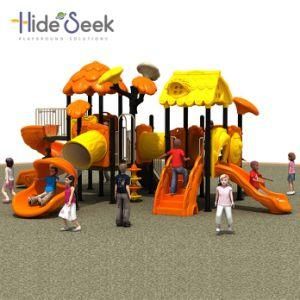 Gym Park Amusement Outdoor Fitness Playground Equipment (HS07601)
