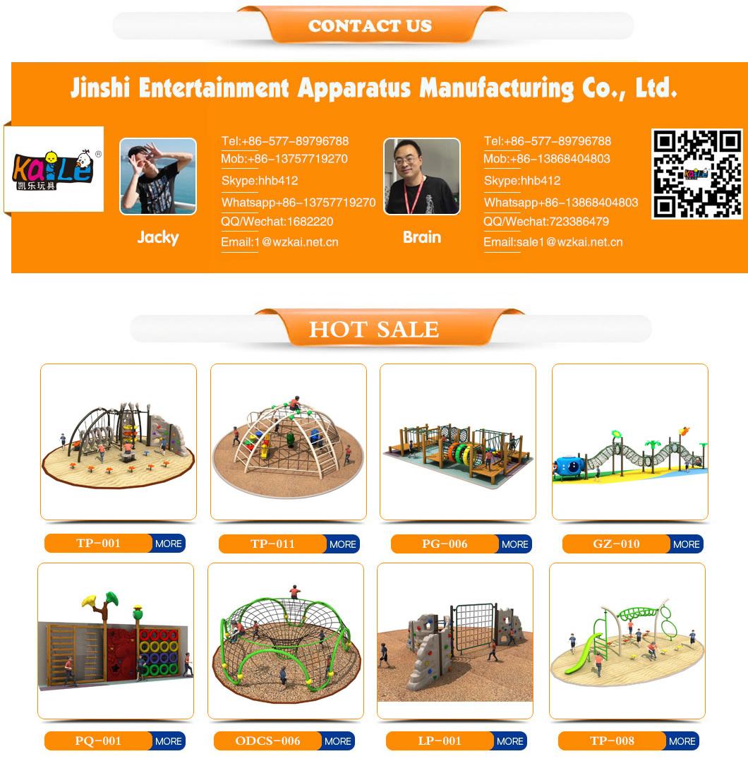 Indoor Outdoor Playground Equipment Plastic Climbing Wall with Slide Dome Toys