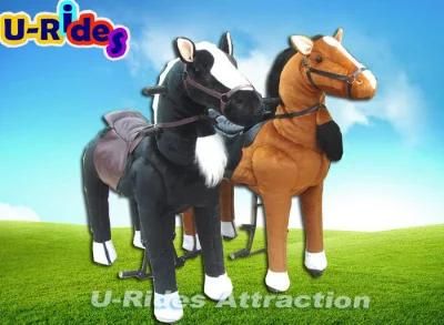 Horse Walking pony ride for adult