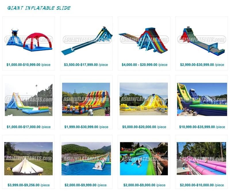 Aqua Park Equipment Project Inflatable Water Playground with Pool and Slide