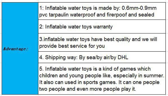 Inflatable Aqua Park Inflatable Water Sports Game for Adults