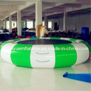 Inflatable Water Game Inflatable Water Trampoline for Water Park