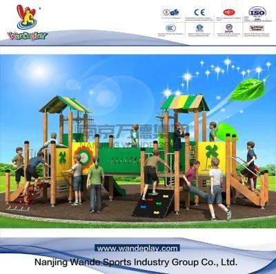 Amusement Park Children Outdoor PE Playground with Slide