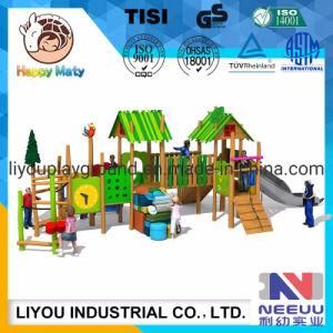 Amusement Park Plastic Kids Slide Indoor and Outdoor Playground Equipment Wood Playground