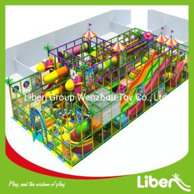 Professional Manufacturer Customized Large Indoor Playground with High Quality