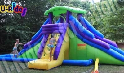 Cheap Factory Inflatable Two Lanes Water Slide Inflatable Slide and Slip for Rental