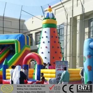 Hot Sale Inflatable Rock Climbing for Challenge