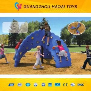 Hot Sales Kids Climbing Wall (A-05204)