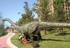 Theme Park Decoration High Emulational Giant Dinosaur Long Neck Life-Size Dinosaur Model Diplodocus