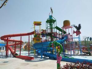 Quality Water Park Equipment Water House/ Aqua Play Structure