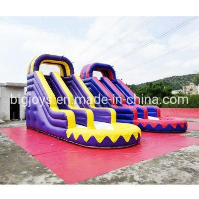 High Quality Customized Inflatable Water Slide or Dry Slide with Swimming Pool for Sale