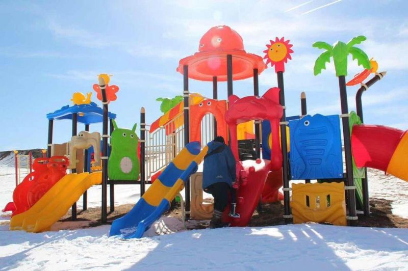 Factory Customized of Kids Outdoor/Indoor Playground Slide Hot Sell Preschool Equipment Amusement Park