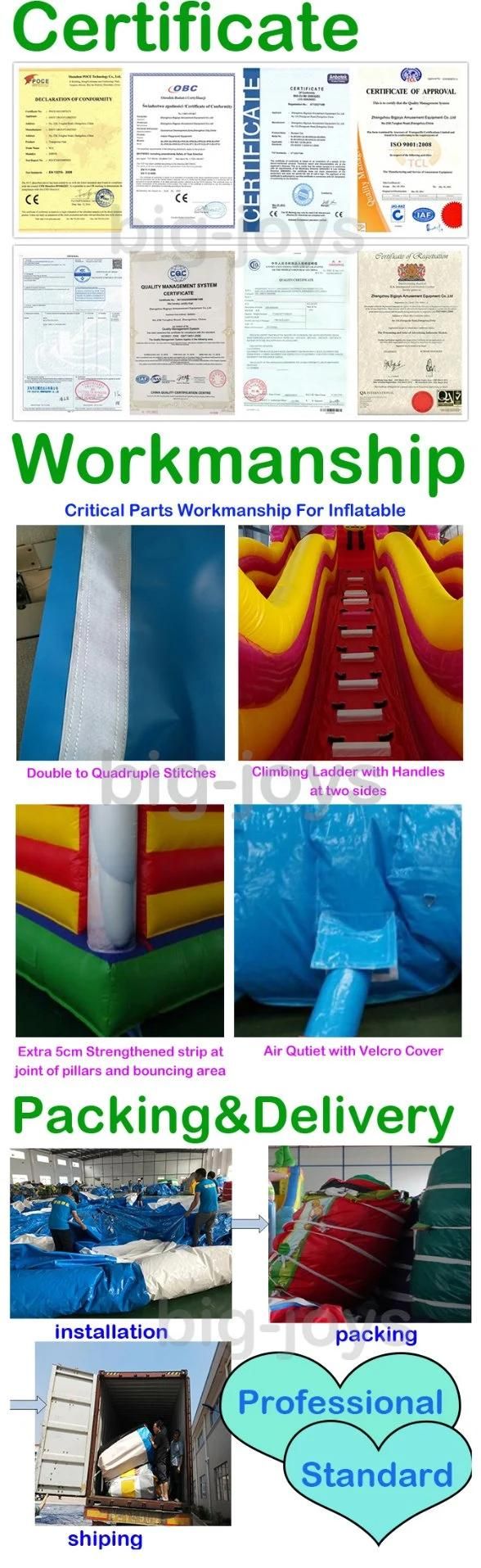 0.9mmpvc Inflatable Iceberg, Inflatable Water Climbing Mountain (BJ-WT02)