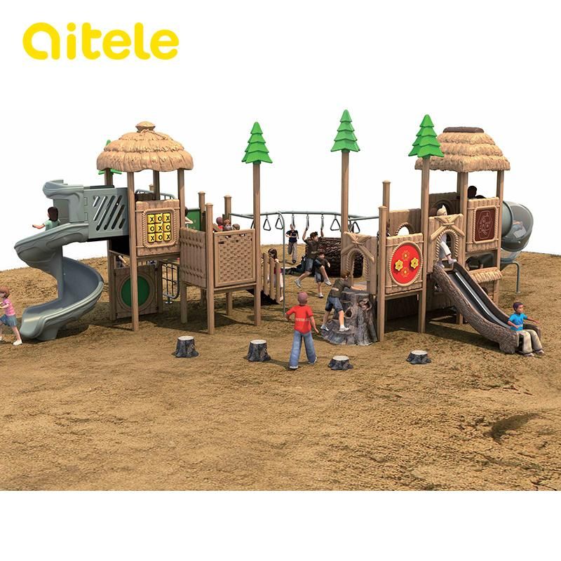 Natural Landscape Series Playground (2014NL-02301)