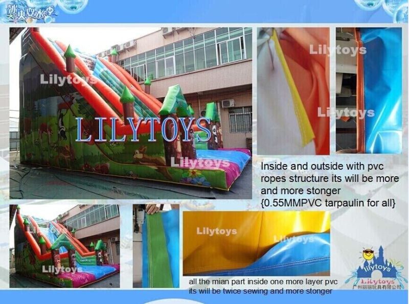 Hot Selling Facotry PVC Type Ice House Inflatable Park with Pool
