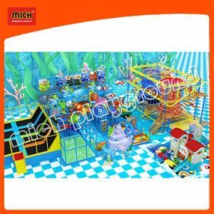 Mich Indoor Playland with Rope Course