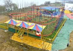Outdoor Theme Park Small Roller Coaster Ride for Sale