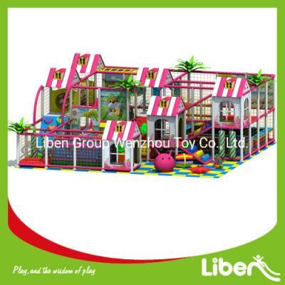 Factory Price Safe Commercial Indoor Playground for Children