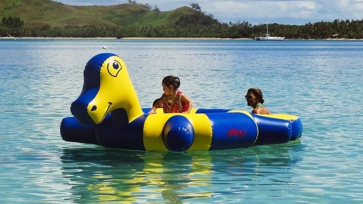 Air Floating Inflatable Pool Water Toys Water Bird for Sale