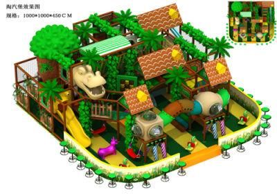 Amusement Indoor Playground with Jungle Theme (TY-1201A)