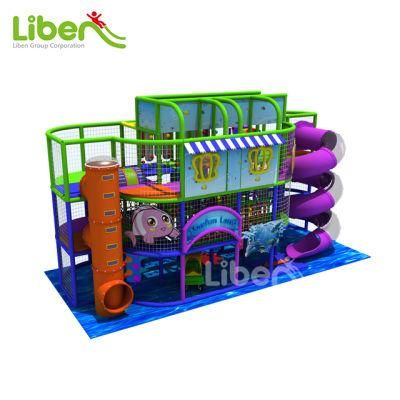 Children Indoor Playground Equipments