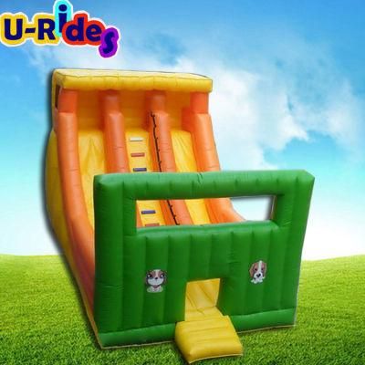 Hot Sale Inflatable Slide Inflatable Water Slide Inflatable Bouncer Slide for Kids