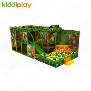 Forest Theme Indoor Playground with Volcanic