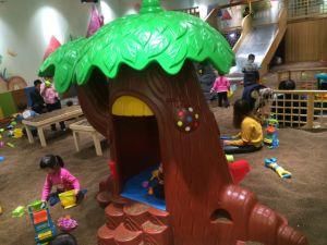 Forest Theme Small Indoor Soft Playground