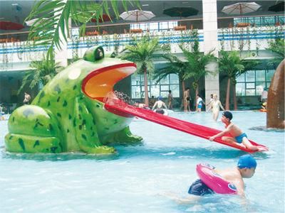 Frog Slide for Water Park Play Funny Fountain Spray Park Water Play Equipment