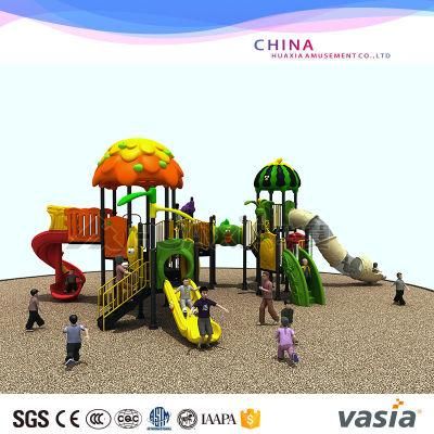 Vasia Park Amusement Equipment Outdoor Playgroundvs2-3044A