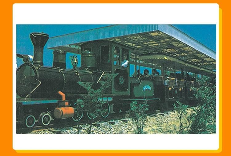 China Supplier Children Game Adult Rides Toys Used Track Chasing Train Manufacturers (KL6006)