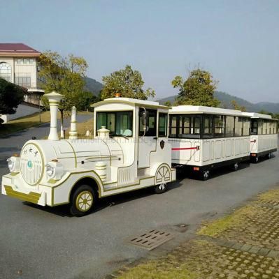 Amusement Rides 50 Seater Trackless Train (DSW-E50)