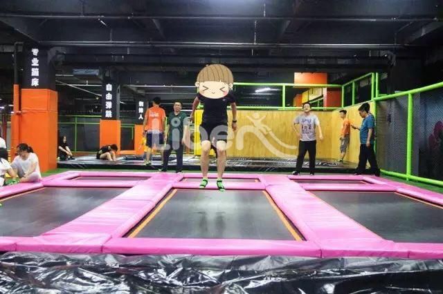Professional Large Jumpsport Fitness Trampoline