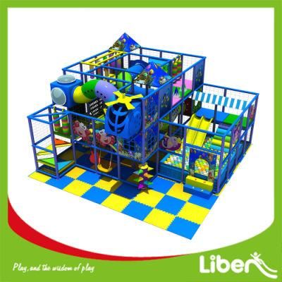 Luxury Indoor Playground Equipment with Competitive Price
