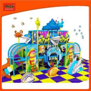 Children Indoor Playground with Big Slides for Sale